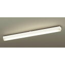 パナソニック電工 Panasonic LGB52032LE1 LEDベースライト直管32形×1温白色