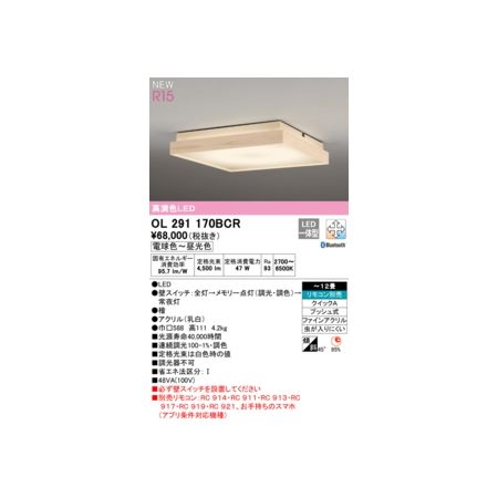 ǥå ODELIC OL291170BCR LED󥰥饤