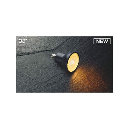 ߾ AE50510E LEDŵ