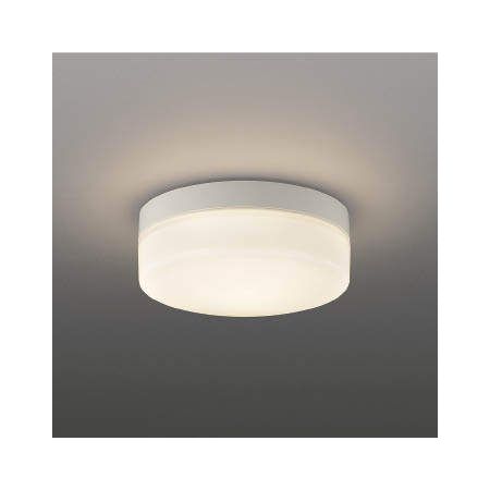 コイズミ照明 AR49373L LED防雨非常用照明