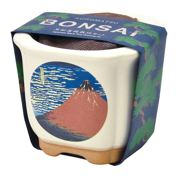 ƫ 4528757032212 JAPANESE BONSAI ٻ GD-64004ڥ󥻥Բġ