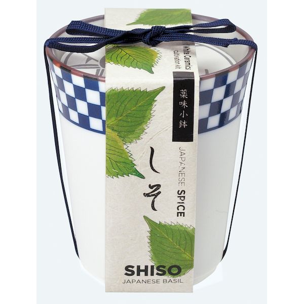 聖新陶芸 4528757035121 小紋薬味小鉢 しそ GD-75801