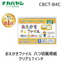 ナカバヤシ CBCT-B4C おえかきファイル 八つ切画用紙／クリア CBCTB4C