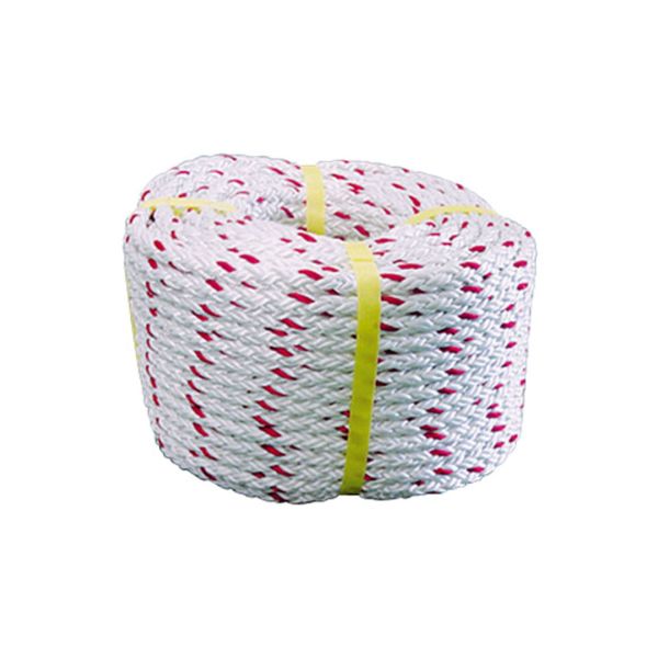 【商品説明】●「高精度」「低伸度」「非自転」「耐摩耗」●（12打ち）両端加工済み（保護チューブ付）●直径(mm):10●引張り強さ(kN):20.6クロスロープ 通線 電設用ロープ 12打ちクロスロープ類似商品はこちら育良精機 クロスロープ...