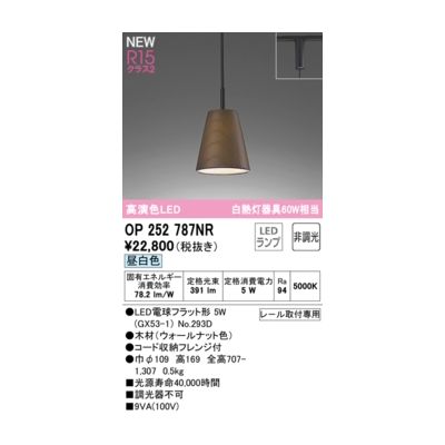 オーデリック ODELIC OP252787NR ランプ別梱包