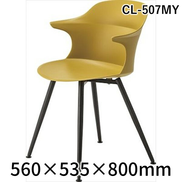 ڸĿ2ġë CL-507MY 2 ľ Բġ¾᡼ƱԲ   ˥󥰥 ػ CL...