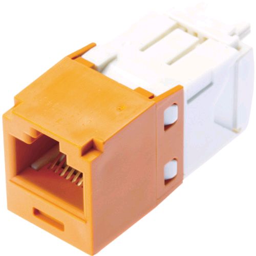 (LINE�����ݥ�ͭ)��¨Ǽ�߸��ʡۡ�ľ���ץѥ�ɥ����å� CJ688TGOR ���ƥ���6�⥸��顼����å� ����� �ѥ�ɥ����åȥ����ݥ졼����� Panduit