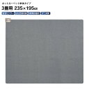 【即納在庫品】MORITA TMC-300TS ホットカーペット TMC300TS