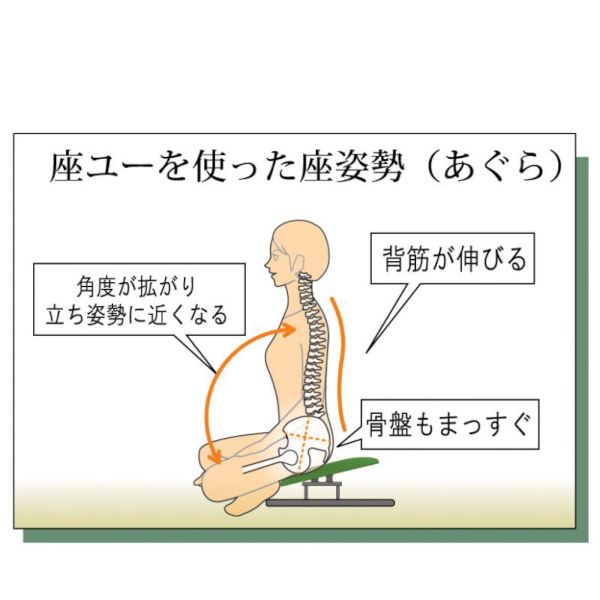 (LINEクーポン有)【個数:1個】ルネセイコウ ZAU-03 モスホワイト/ブラツク 直送 代引不可・他メーカー同梱不可 背付 座ユー ZAU03モスホワイト/ブラツク [3]