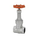 【即納在庫品】【個人宅配送不可】東洋バルヴ 10-DSR-N 25A 直送 代引不可・他メーカー同梱不可 ダクタイル ゲート 10-DSR-N 10DSRN25A