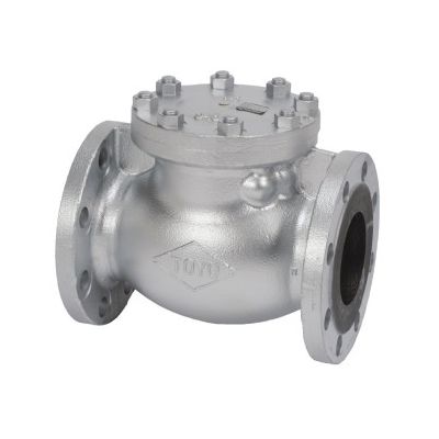 【即納在庫品】【個人宅配送不可】東洋バルヴ 16-DNSF-N 65A 直送 代引不可・他メーカー同梱不可 ダクタイル チャッキ 16−DNSF−N 16DNSFN65A