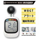 【即納在庫品】ヒロ・コーポレーション HDL-1717 黒球式熱中指数計 HDL1717 球式 熱中症指数計 WBGT測定器 JIS準拠 アラーム機能 温湿度計 コンパクト設計 黒球付き 屋内外対応 工事現場 スポーツ 介護施設 学校 保育園 病院 企業