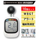 【即納在庫品】ヒロ・コーポレーション HDL-1717X10 黒球式熱中指数系 10個セット HDL1717X10 球式 熱中症指数計 WBGT測定器 JIS準拠 アラーム機能 温湿度計 コンパクト設計 黒球付き 屋内外対応 工事現場 スポーツ 介護施設