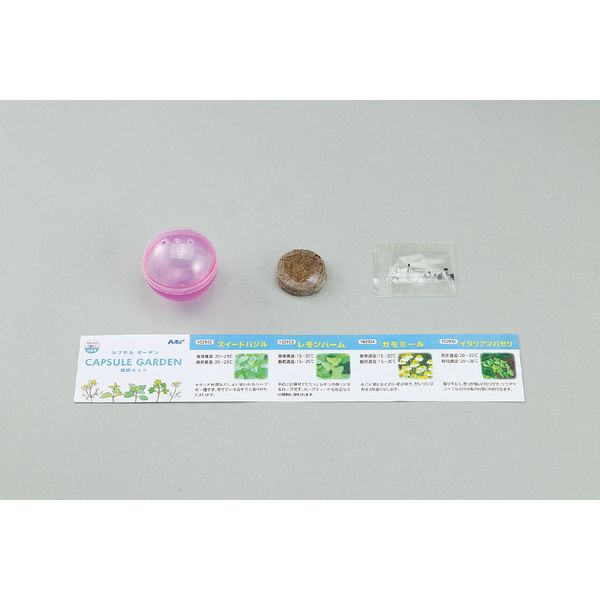 �����ƥå� ArTec 102922 ���ץ��륬���ǥ� �������ȥХ���