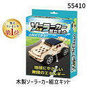 【11/25限定!抽選で最大100%ポイントバック】アーテック ArTec 055410 木製ソーラーカー組立キット