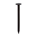 【即納在庫品】「直送」ダイドーハント 10183157 HP トタン釘 新茶 2.1×32 30本入(4)