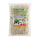 イトスイ コメット 4971453055045 カメの消臭砂利 大粒 0.7L