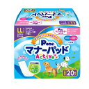 第一衛材 4904601764704 PMP−754 マナーパッドActive ビッグパック LL 20枚