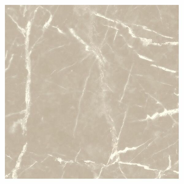 ڸĿ1ġۥ󥳡 E-5098-40-500 ľ Բġ¾᡼ƱԲ åե E5098 40cm ...