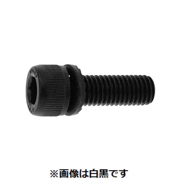 樂天商城 - (LINEクーポン有)【個人宅配送不可】【個数：200個】SUNCO 4525824015895 【200個入】 直送 代引不可・他メーカー同梱不可 10．9GT−S CAP 8 X 16