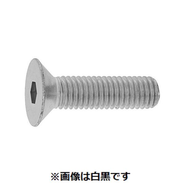 【個人宅配送不可】【個数：500個】SUNCO 4525824133797 【500個入】 直送 代引不可・他メーカー同梱不可 ユニクロ サラCAP アンスコ 全ネジ 6 X 20