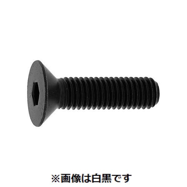 (LINEクーポン有)【個人宅配送不可】【個数：40個】SUNCO 4525824209409 【40個入】 直送 代引不可・他メーカー同梱不可 サラCAP カクマル 全ネジ 16 X 40
