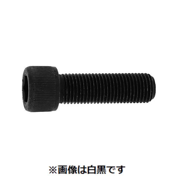 Rakuten - (LINEクーポン有)【個人宅配送不可】【個数：100個】SUNCO 4525824224372 【100個入】 直送 代引不可・他メーカー同梱不可 ステンCAP UNF ＃6−40X5／16