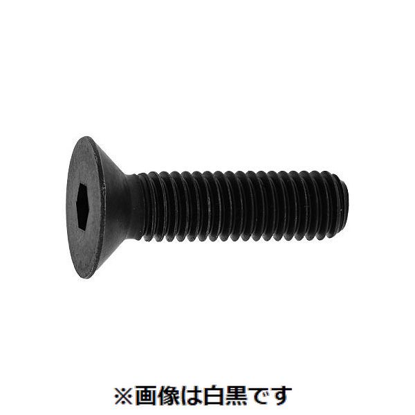 樂天商城 - (LINEクーポン有)【個人宅配送不可】【個数：100個】SUNCO 4525824225416 【100個入】 直送 代引不可・他メーカー同梱不可 サラCAP GOSHO 半ネジ 10X100X26