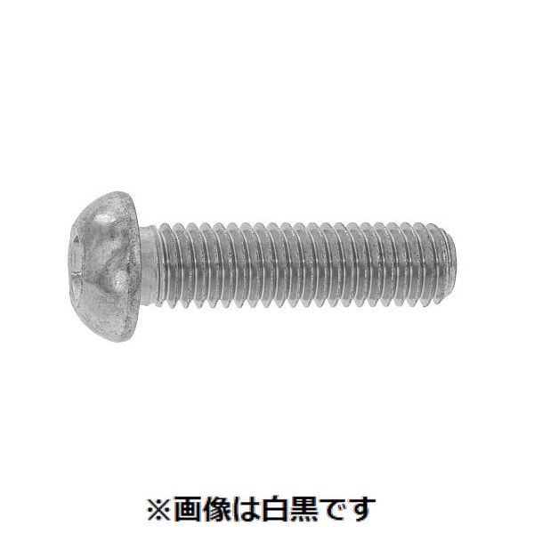 【個人宅配送不可】SUNCO 4525824458098 【100個入】直送 代引不可・他メーカー同梱不可 ニッケル ボタンCAP TKS 全ネジ 8 X 16
