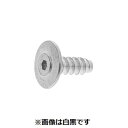 【個人宅配送不可】【個数:3000個】SUNCO 4525824472483 【3000個入】 直送 代引不可・他メーカー同梱不可 三価ホワイト シンヘッドTH...