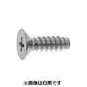 【個人宅配送不可】【個数:10000個】SUNCO 4525824703006 【10000個入】 直送 代引不可・他メーカー同梱不可 ステン + B0サラ 2...