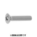 【個人宅配送不可】【個数:300個】SUNCO 4547733009062 【300個入】 直送 代引不可・他メーカー同梱不可 BS + 丸サラ小ネジ 6 X ...