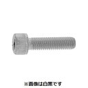 【個人宅配送不可】SUNCO 4547733016817 【400個入】直送 代引不可・他メーカー同梱不可 三価ブラック CAP TKS 5 X 22