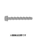 【個人宅配送不可】【個数:50個】SUNCO 4547733064092 【50個入】 直送 代引不可・他メーカー同梱不可 ジオメット ハードエッジアンカー HEA−860(4)