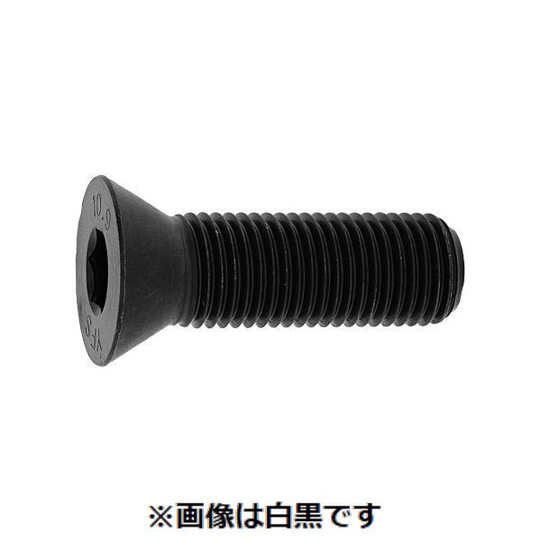 【個人宅配送不可】SUNCO 4547733145241 【500個入】 直送 代引不可・他メーカー同梱不可 チタン サラCAP 全ネジ 6 X 10