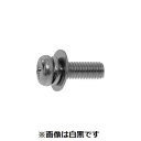 【個人宅配送不可】【個数:300個】SUNCO 4547809070675 【300個入】 直送 代引不可・他メーカー同梱不可 三価ブラック + ナベP=3 ウ...