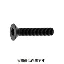 【個人宅配送不可】【個数:500個】SUNCO 4547809300048 【500個入】 直送 代引不可・他メーカー同梱不可 TORX−サラCAP...