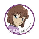 ヒサゴ HH3444 TVアニメ 名探偵コナン コナンワッペンシール/灰原 2入