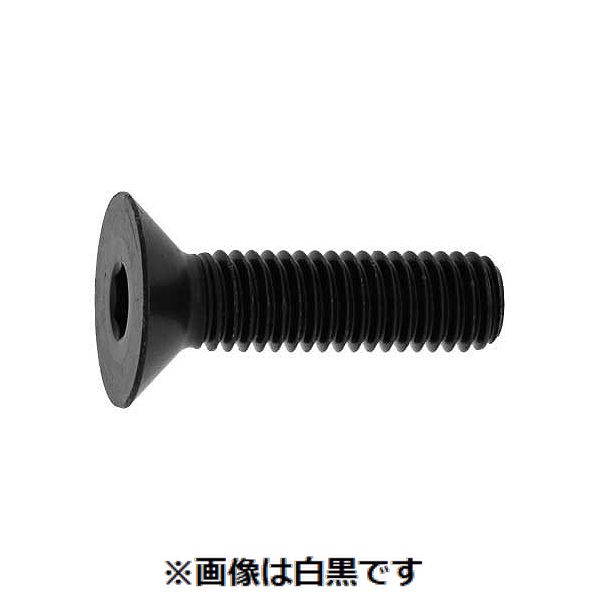 【個人宅配送不可】【個数：30個】SUNCO 4547809445046 【30個入】 直送 代引不可・他メーカー同梱不可 三価ブラック サラCAP 日産ネジ JIS 全ネジ 20 X 45