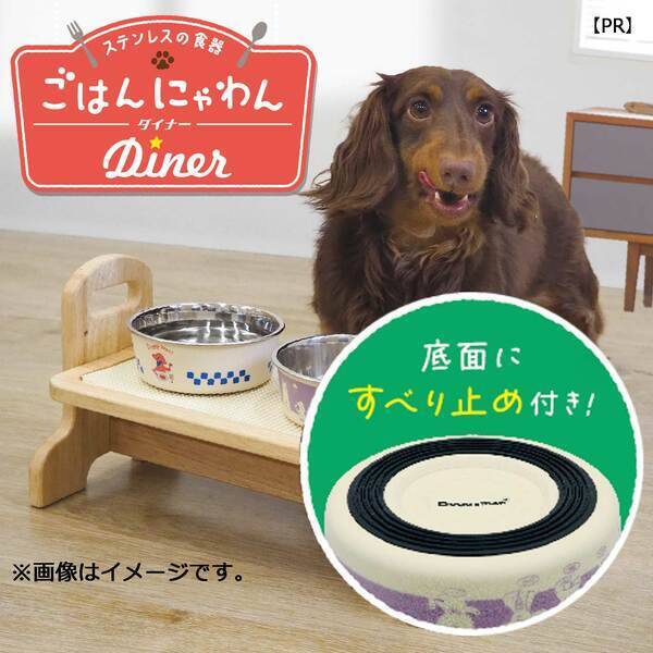 ドギーマン 4976555934229 ステンレスの食器 ごはんにゃわん 犬用 S ビストロ 4976555934229