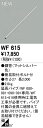 オーデリック ODELIC WF615 シーリングファン延長パイプ シーリングファン用延長パイプ パイプ吊り器具専用
