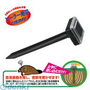 セーブインダストリー 4989918505141 ソーラー式 モグラ撃退器 2本入(3)