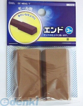 (LINEクーポン有)オーム電機 DZ-MEN3/T エンド3ゴウ チャ ABS DZMEN3T モール用パーツ