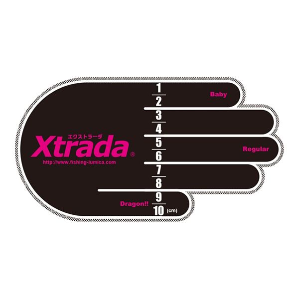 A20291 Xtrada XP[XebJ[