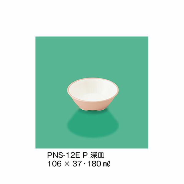 PNS-12E_P  ԥ PNS12E_P