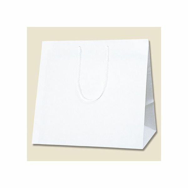 006441102 手提げ紙袋 アレンジバッグ S 白 NEW 10枚