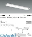 遠藤照明 ERK9171W 直付/ウォールウォッシャー/40W/2灯