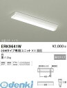 遠藤照明 ERK9641W SOLID　T　L／20W形本体／逆富士形／W150