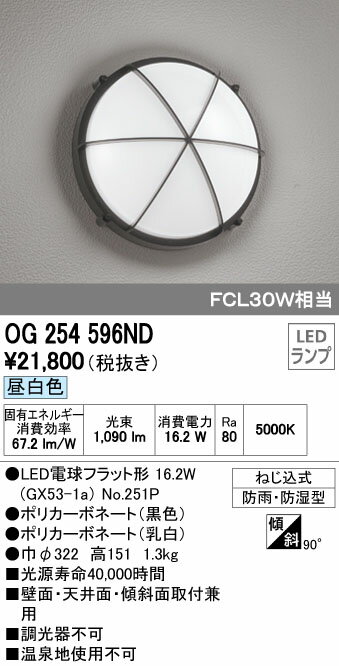 オーデリック ODELIC OG254596ND LEDエクステリアライト【送料無料】 昼白色 FCL30W相当 ポーチライト 照明 OG254596NDエクステリア