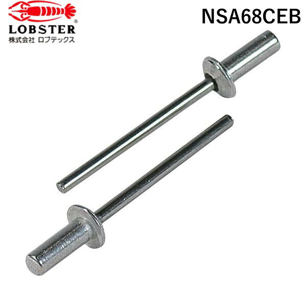 【即納在庫品】「直送」株 ロブテックス NSA68CEB ブラインドリベット・シールドタイプ エコBOX アルミ／スティール 6−8 150本入 エビ エコBOX